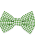Carolina Green Gingham Dog Bow Tie - SUNNY TAILS