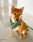 Forest Plaid Flannel Dog Bandana - SUNNY TAILS