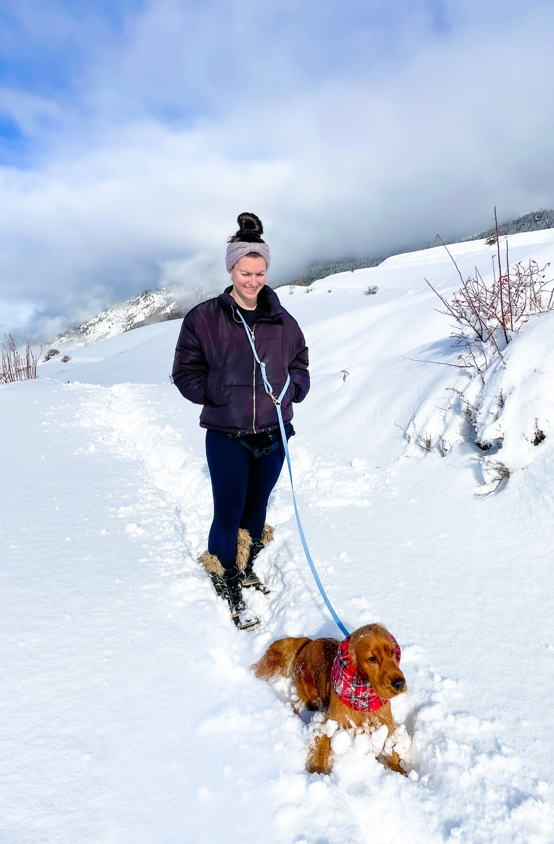 Malibu Blue Convertible Hands Free Cloud Dog Leash | Multifunctional, Waterproof, and Lightweight Dog Leash | Shop Sunny Tails