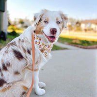 Chai Brown Waterproof Cloud Dog Leash - SUNNY TAILS