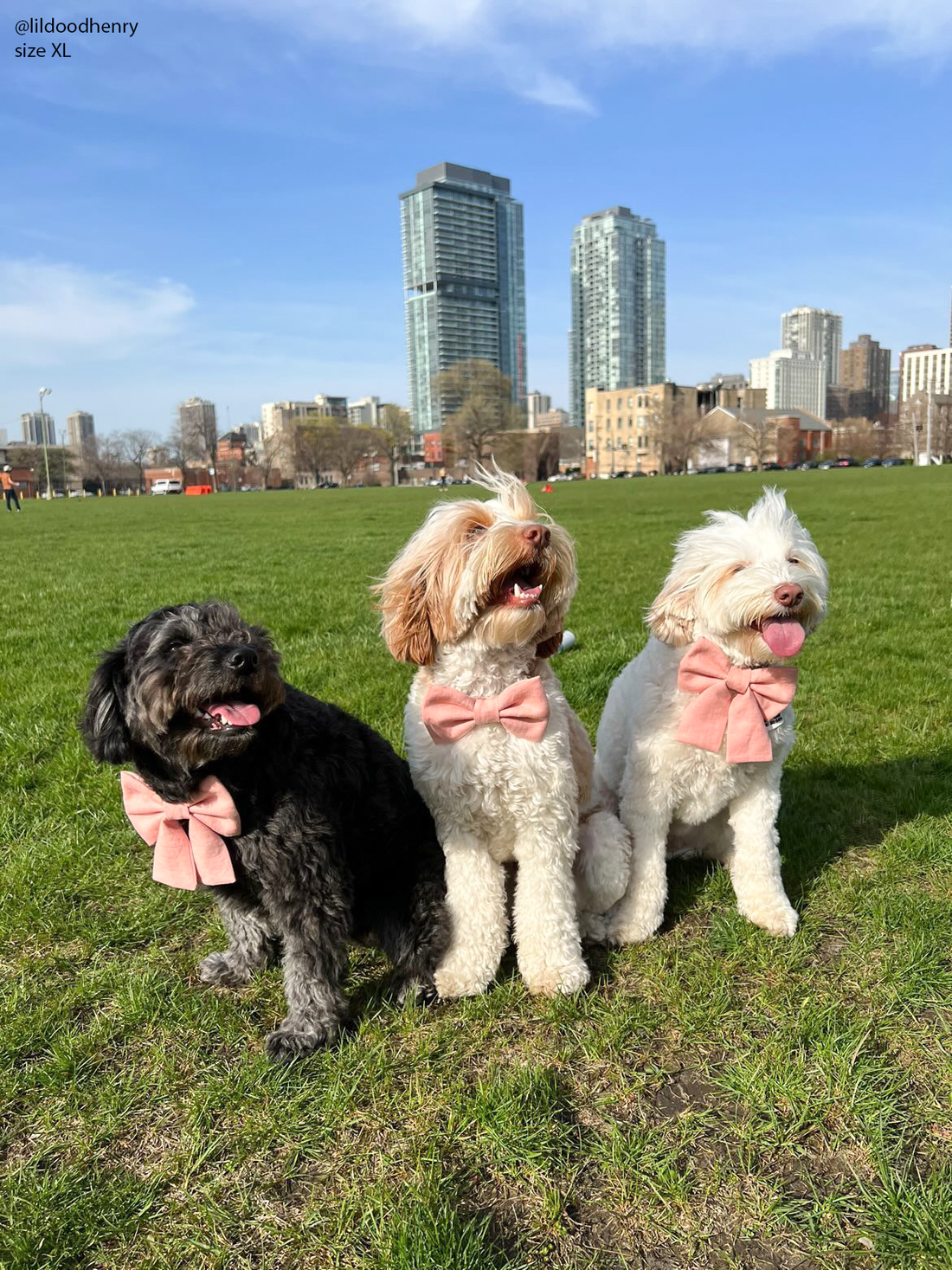 Peach Pink Linen Dog Bow Tie | Snap Over Collar Dog Bow Tie | Shop Sunny Tails