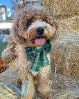 Forest Plaid Flannel Dog Sailor Bow - SUNNY TAILS