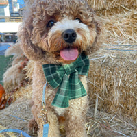 Forest Plaid Flannel Dog Sailor Bow
