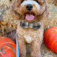 Woodland Plaid Flannel Dog Bow Tie