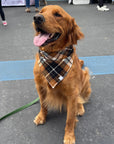 Harvest Plaid Flannel Dog Bandana - SUNNY TAILS