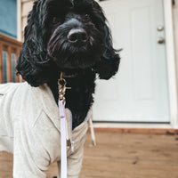 Lavender Haze Waterproof Cloud Dog Leash | Lightweight PVC Leash | Odor Proof, Stink Proof, and Durable | Available in 3 Lengths