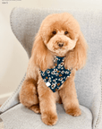 Corduroy Floral Dog Bandana - SUNNY TAILS