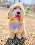 Blue Herringbone Flannel Teddy Bear Dog Bandana - SUNNY TAILS