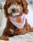 Spring Violet Herringbone Teddy Dog Bandana