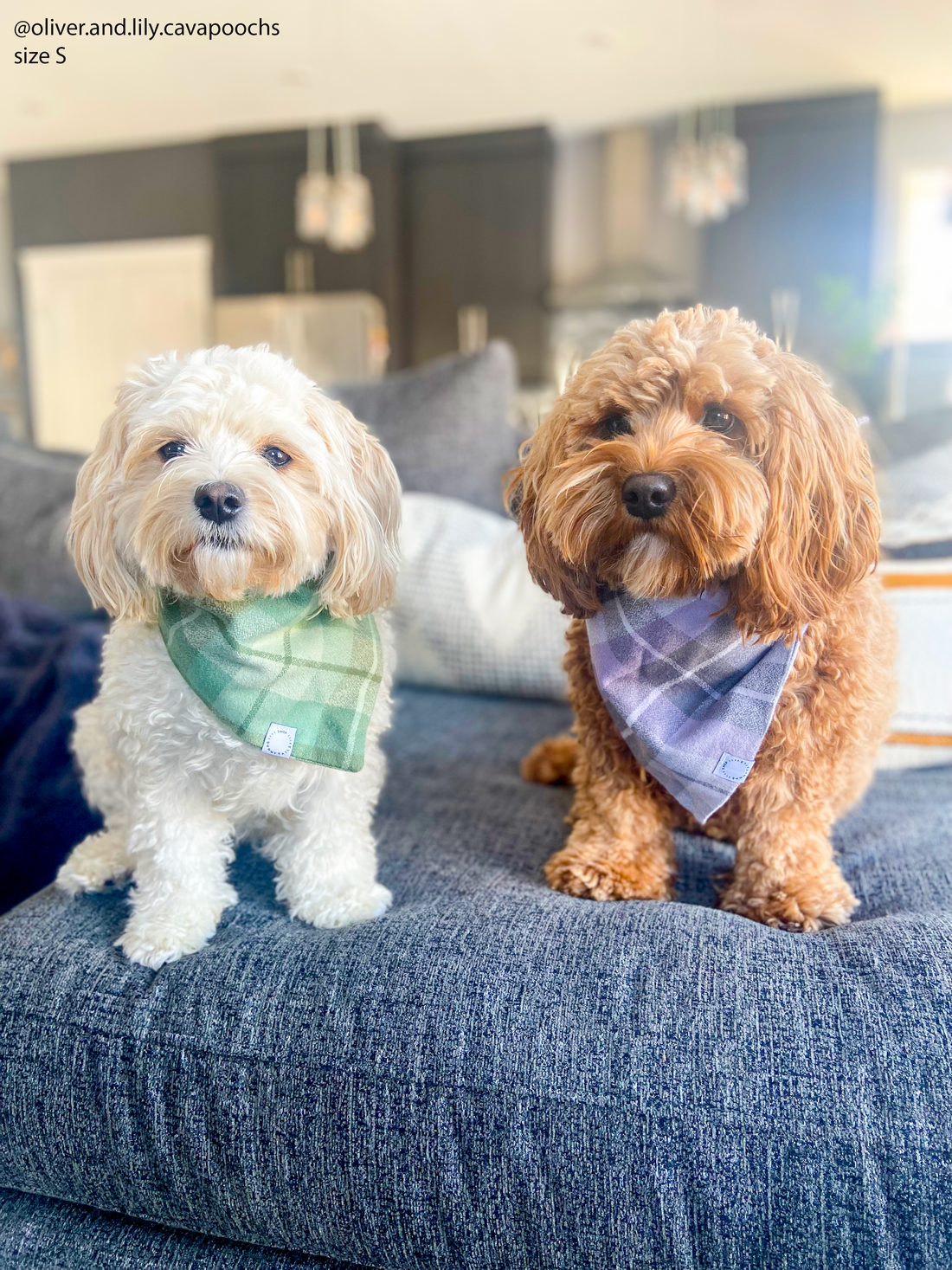 Purple Plaid Flannel Dog Bandana