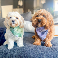 Purple Plaid Flannel Dog Bandana