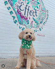 Blooming Daisies Green Dog Sailor Bow - SUNNY TAILS