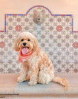 Classic Melon Dog Bandana - SUNNY TAILS