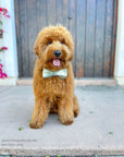 Moss Green Flannel Dog Bow Tie - SUNNY TAILS