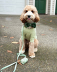 Pistachio Sage Green Waterproof Cloud Dog Leash | Lightweight PVC Leash | Odor Proof, Stink Proof, and Durable | Available in 3 Lengths