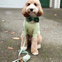 Pistachio Sage Green Waterproof Cloud Dog Leash | Lightweight PVC Leash | Odor Proof, Stink Proof, and Durable | Available in 3 Lengths