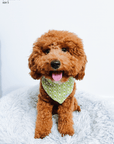 Olive Eyelet Dog Bandana - SUNNY TAILS