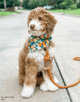 Simply The Zest Oranges Dog Bandana - SUNNY TAILS