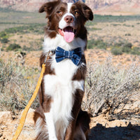 Navy Blue Windowpane Linen Dog Bow Tie