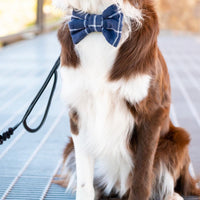 Navy Blue Windowpane Linen Dog Bow Tie