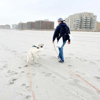 Signature Navy Waterproof Cloud 30 Ft Dog Leash
