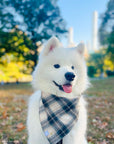 Woodland Plaid Flannel Dog Bandana - SUNNY TAILS