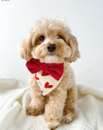 Red Corduroy Dog Bow Tie - SUNNY TAILS