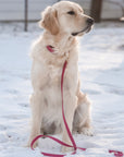 Mulberry Burgundy Waterproof Cloud Dog Leash | Lightweight PVC Leash | Odor Proof, Stink Proof, and Durable | Available in 3 Lengths
