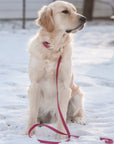 Mulberry Burgundy Waterproof Cloud Dog Leash - SUNNY TAILS