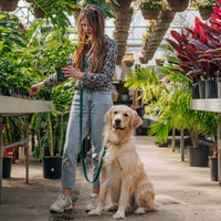 Cloud Leash Extension & Treat Pouch Bundle Wide