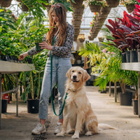 Cloud Leash Extension & Treat Pouch Bundle Wide - SUNNY TAILS