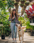 Mulberry Burgundy Wide 4-in-1 Convertible Hands Free Cloud Dog Leash