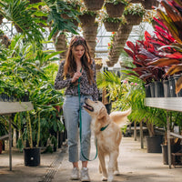 Best Sellers Leash Extension & Treat Pouch Bundle Wide - SUNNY TAILS