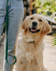 Mulberry Burgundy Wide 4-in-1 Convertible Hands Free Cloud Dog Leash
