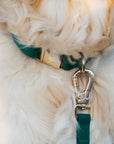 Mulberry Burgundy Wide 4-in-1 Convertible Hands Free Cloud Dog Leash