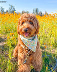 Flower Fields Dog Bandana - SUNNY TAILS