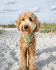 Embroidered Greenhouse Green Dog Bandana - SUNNY TAILS