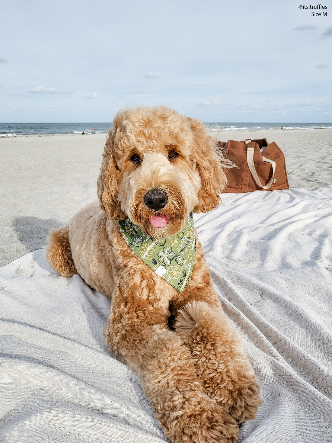 Embroidered Greenhouse Green Dog Bandana
