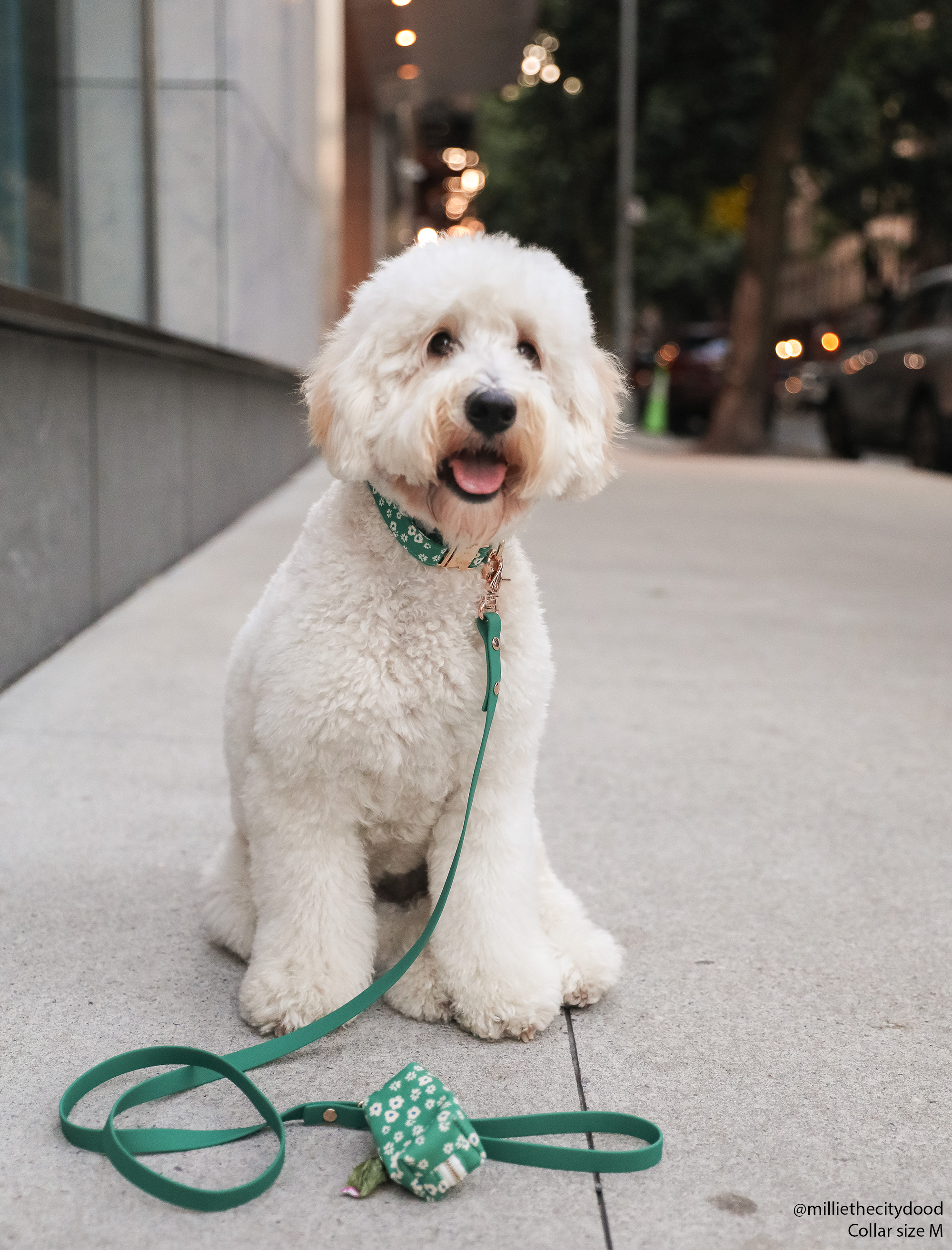 Meadow Green Waterproof Cloud Dog Leash | Lightweight PVC Leash | Odor Proof, Stink Proof, and Durable Dog Lead | Available in 3 Lengths