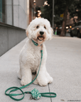 Meadow Green Waterproof Cloud Dog Leash - SUNNY TAILS