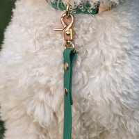 Meadow Green Waterproof Cloud Dog Leash | Lightweight PVC Leash | Odor Proof, Stink Proof, and Durable Dog Lead | Available in 3 Lengths