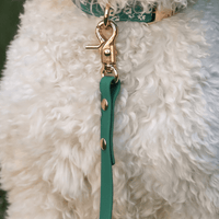 Meadow Green Waterproof Cloud Dog Leash - SUNNY TAILS