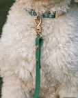 Meadow Green Floral Dog Collar - SUNNY TAILS