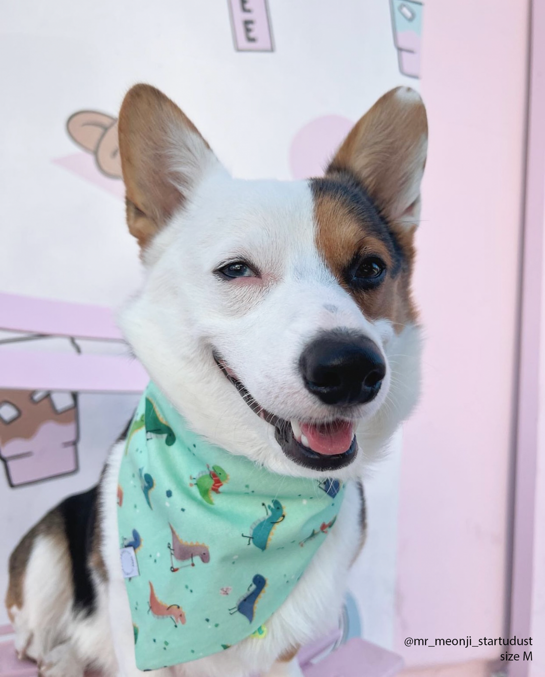 Jurassic Bark Dinosaur Dog Bandana | Mint Green Snap On Dog Bandana | Shop Sunny Tails