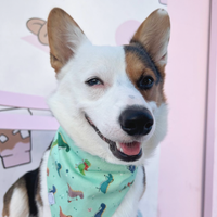 Jurassic Bark Dinosaur Dog Bandana | Mint Green Snap On Dog Bandana | Shop Sunny Tails