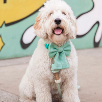 Sage Green Linen Matcha Dog Sailor Bow | Snap Over Collar Dog Bow | Shop Sunny Tails