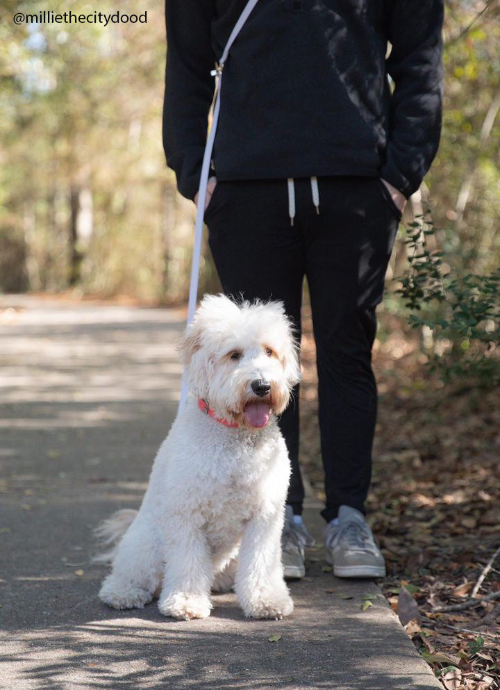 Lavender Haze Lilac Convertible Hands Free Cloud Dog Leash | Multifunctional, Waterproof, and Lightweight Dog Leash | Shop Sunny Tails