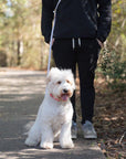 5 - Piece Hands Free Set – Leash, Harness, Collar, Treat Pouch & Waste Bag Holder - SUNNY TAILS
