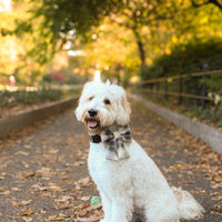 Woodland Plaid Flannel Dog Sailor Bow | Fall Dog Sailor Bow | Shop Sunny Tails