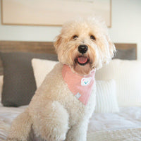 Pink Herringbone Flannel Teddy Bandana